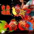 P117 金魚DIY燈籠